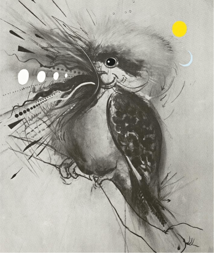 KOOKABURRA, 1983, BY BRETT WHITELEY Red Hand Files Nick Cave